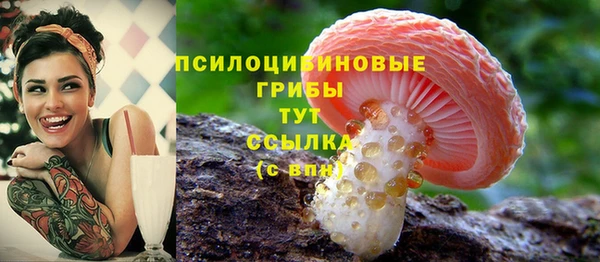 a pvp Алексеевка