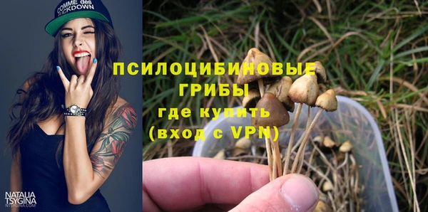 бошки Михайловск