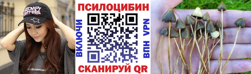 Псилоцибиновые грибы прущие грибы  Волгодонск 